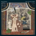 James Yorkston – I was a cat from a book
