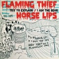 flaming lips cover