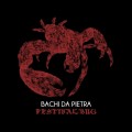 Bachi da Pietra – Festivalbug