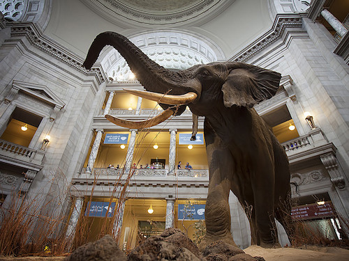 Smithsonian-Museum-Washington-DC